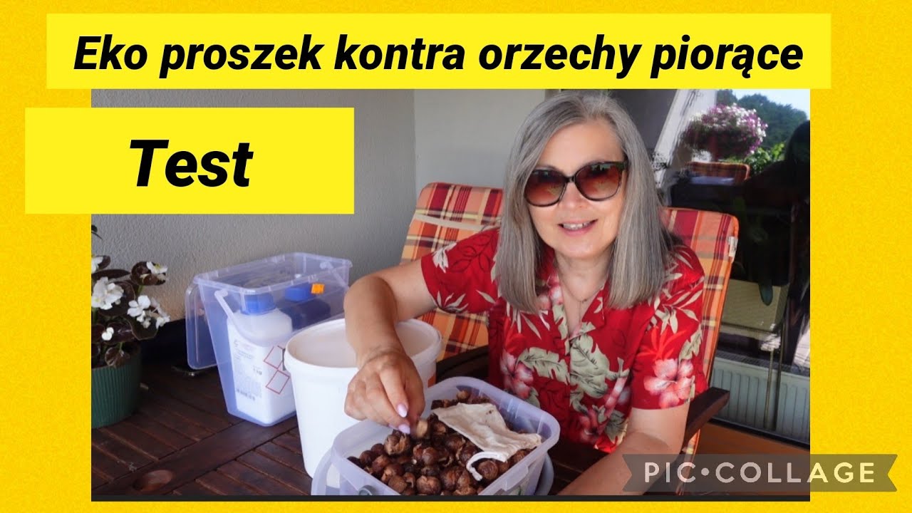 Eko proszek kontra orzechy piorące