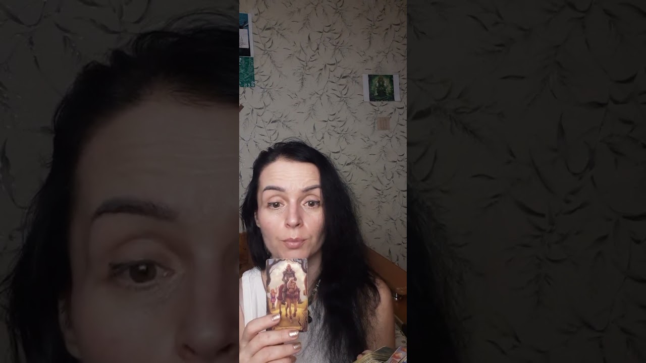 🍯🍒💰#taro_magiaonline #пространствочудес #чтоважнознать 💰🍒🍯