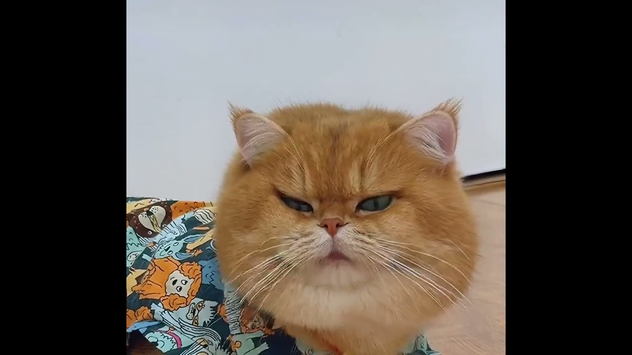 Funny AI influencer from a person with a disability.  Please follow and share 