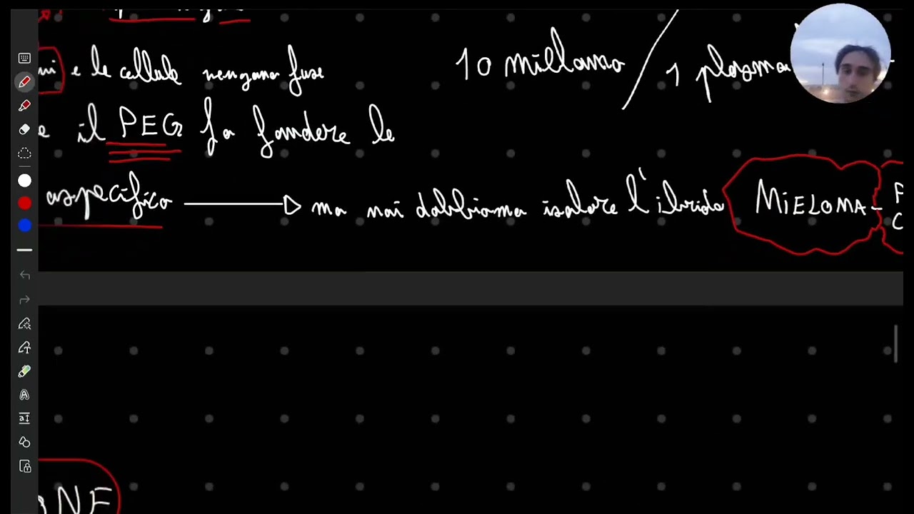 Immuno fluorescenza ed enzimatica pt.1