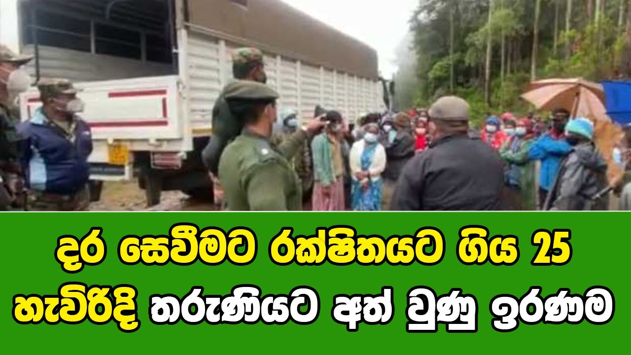 දර සෙවීමට රක්ෂිතයට ගිය 25 හැවිරිදි තරුණියට අත් වුණු ඉරණම | jc chathu sinhala news