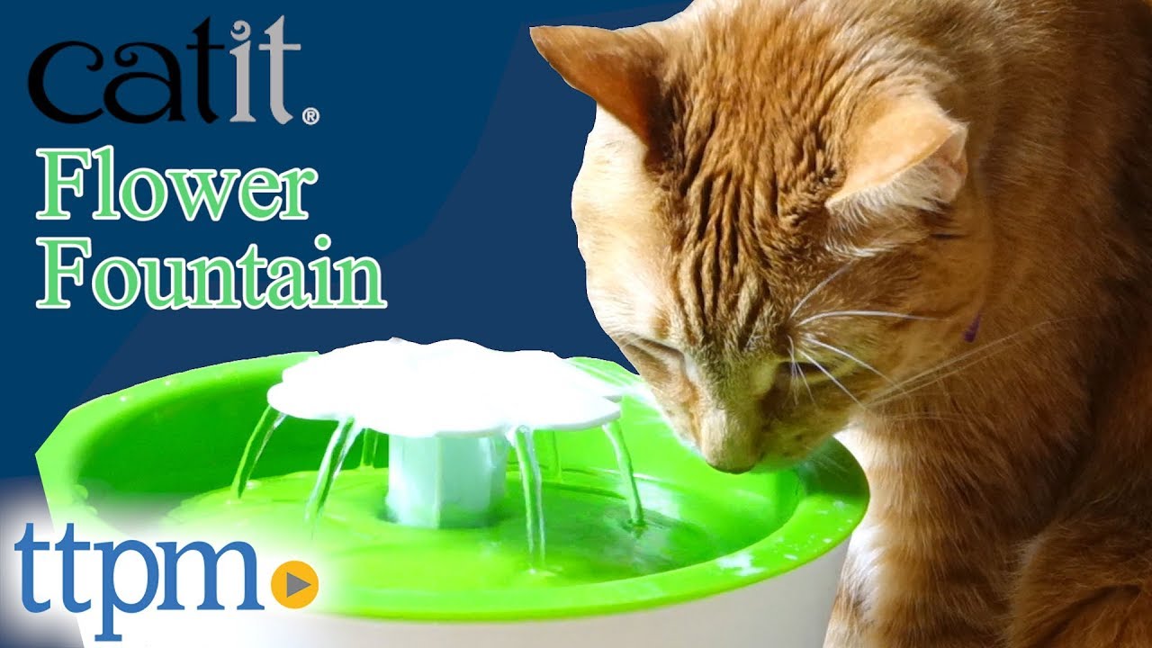 Catit Flower Fountain from Hagen