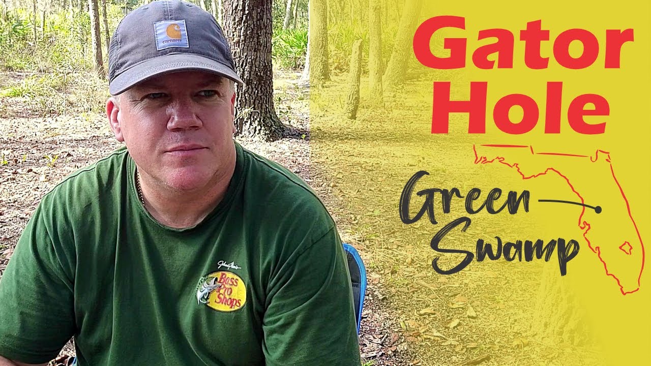 Day Hike to Gator Hole in Green Swamp, Florida