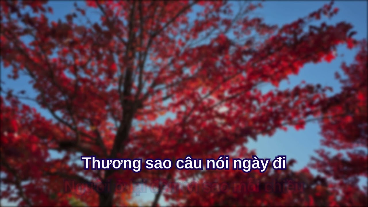 CHO NGƯỜI Ở LẠI - Nhac AI by Hai Nguyen