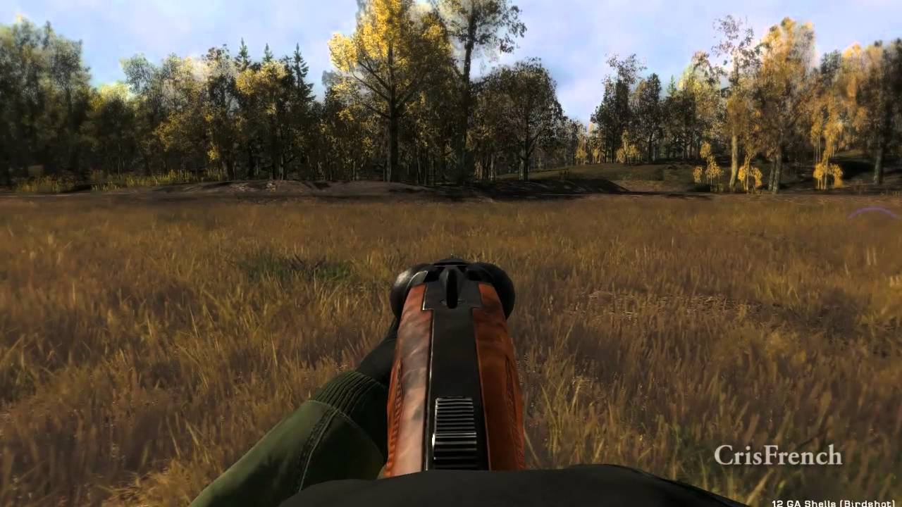 The Hunter - Chasse au Faisan