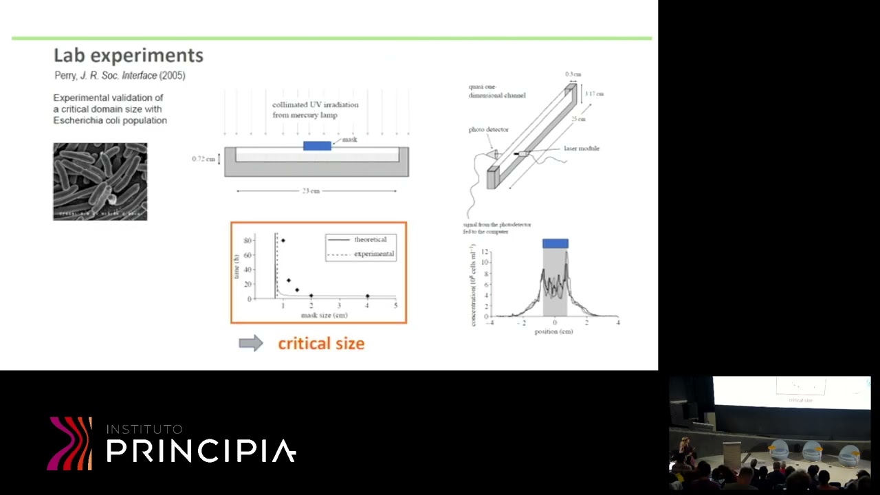 Celia Anteneodo: Critical patch size in population dynamics