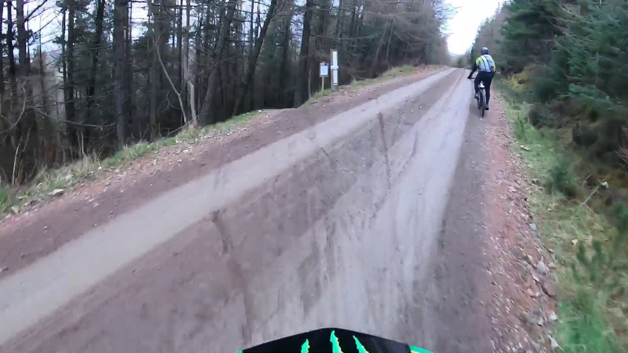 TREE SLALOM AT INNERLEITHEN.