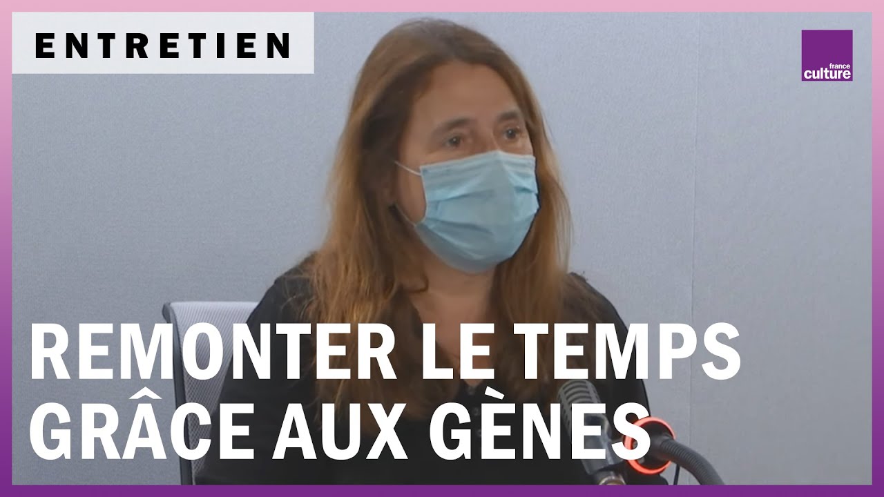 Les gènes, une machine à remonter le temps