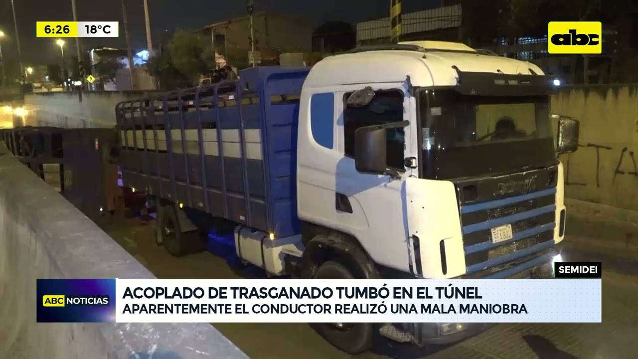 Túnel Semidei: camión transganado tumbó aparentemente tras una mala maniobra
