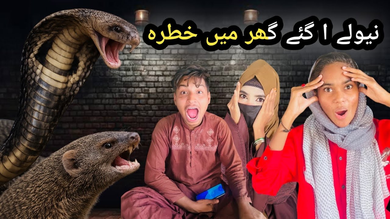 Aaj ka vlog khatarnaak ho gaya 😨 | Ghar me nevlay aa gaye