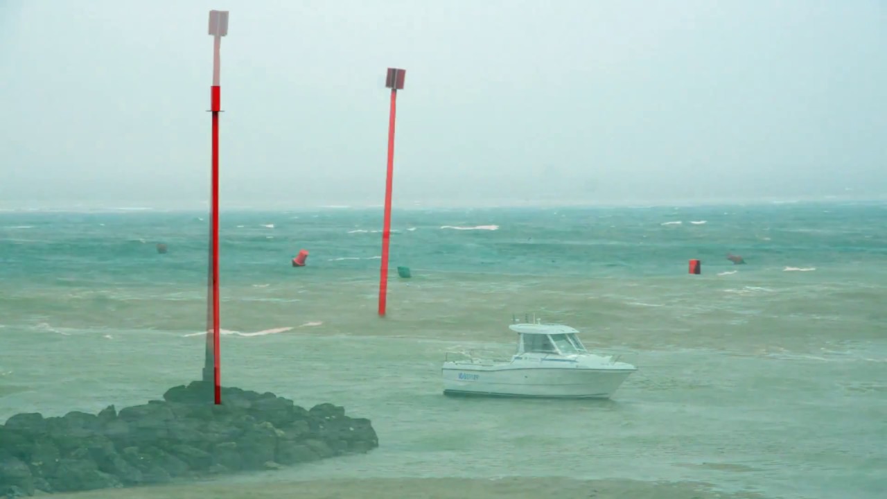 La marée du siécle