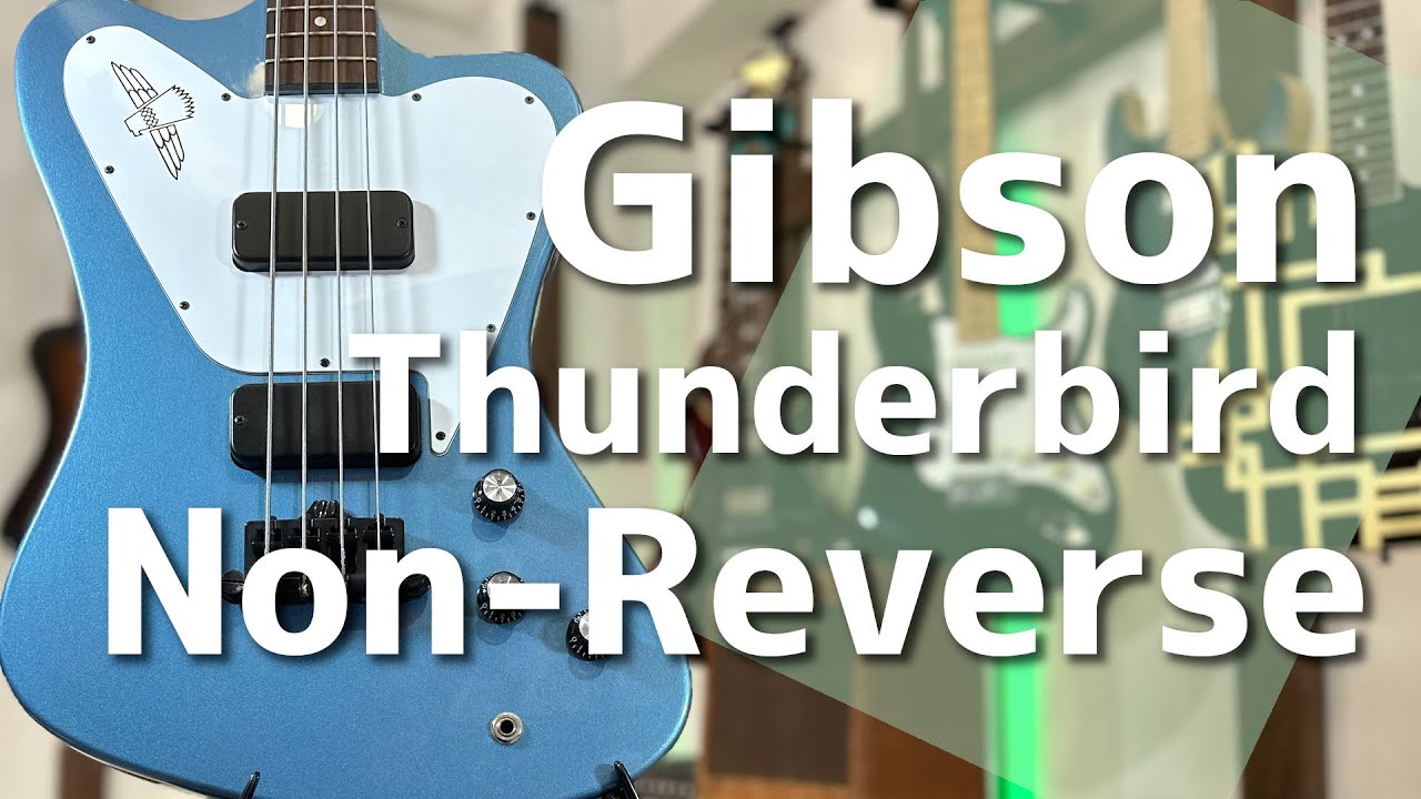 【エレキベース紹介】Gibson Non-Reverse Thunderbird
