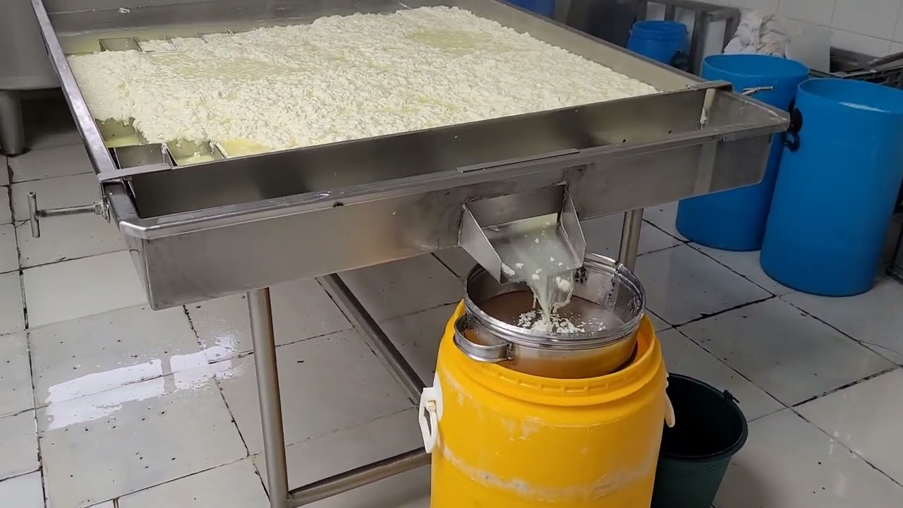 PROCESO DE ELABORACIÓN DE QUESOS PASTEURIZADOS