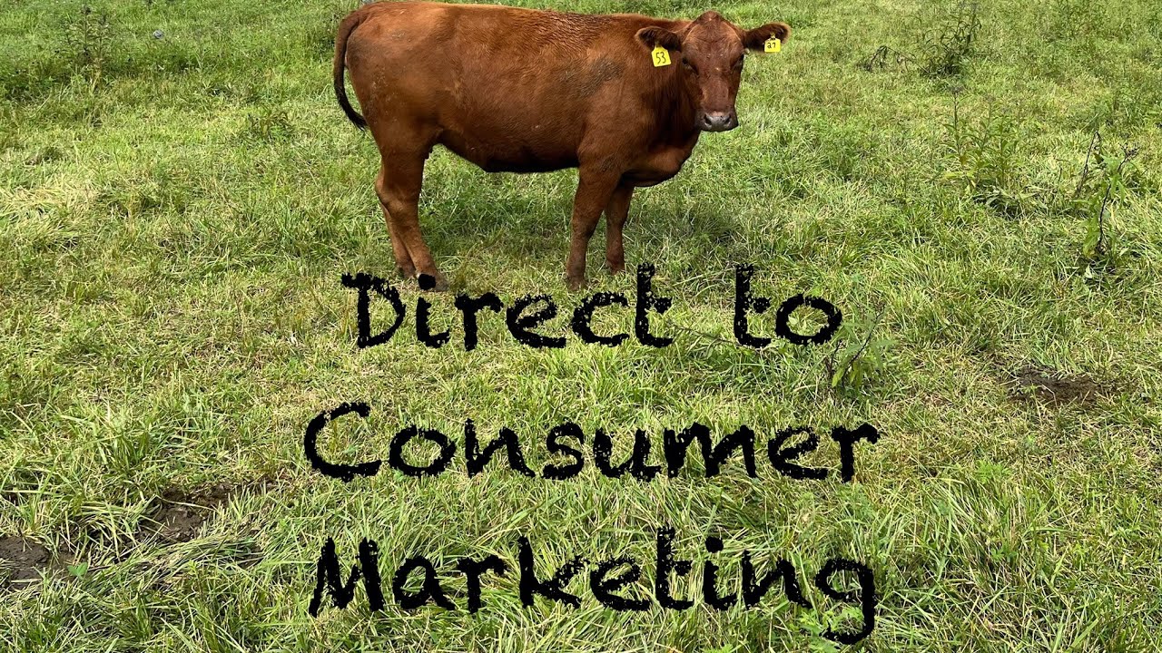 Marketing Farm / Homestead Products