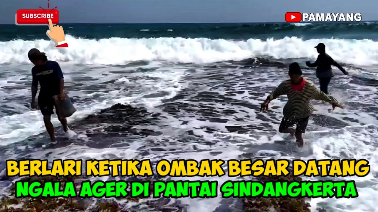 Berlari saat Ombak Besar Datang II Ngala Ager (Rumput Laut) di Pantai Sindangkerta
