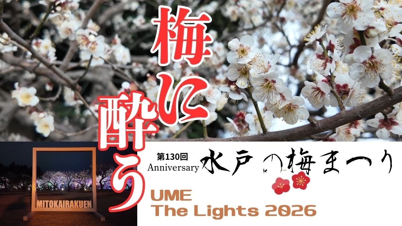 偕楽園で春を…、昼夜にわたる梅花ショーに感激。