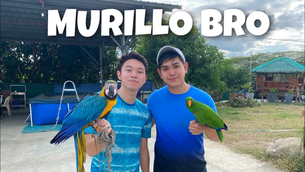 MURILLO BRO