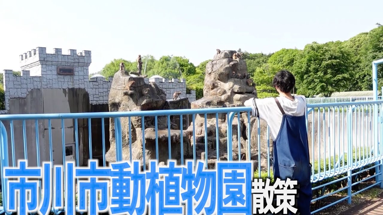 【癒し効果】市川市動植物園で遠足気分を満喫した日。【あふたーすくーる #470 】#千葉県 #市川市 #市川大野