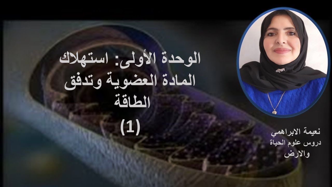 تمهيد: استهلاك المادة العضوية وتدفق الطاقة ثانية باك علوم الحياة والأرض وعلوم فيزيائية  (1)