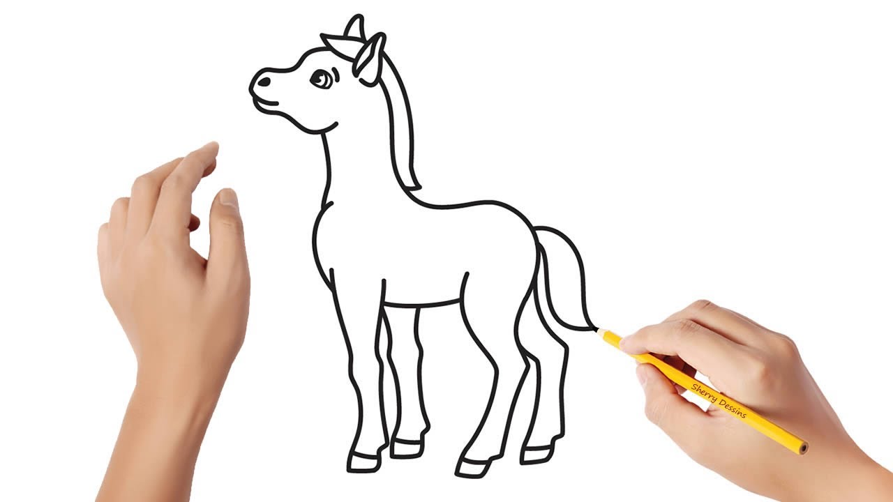 Comment dessiner un poulain