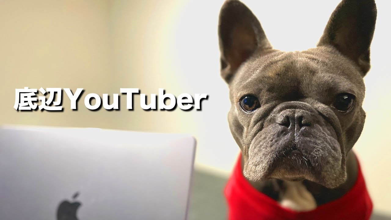 オーストラリアメルボルン在住YouTuberフィリックス
