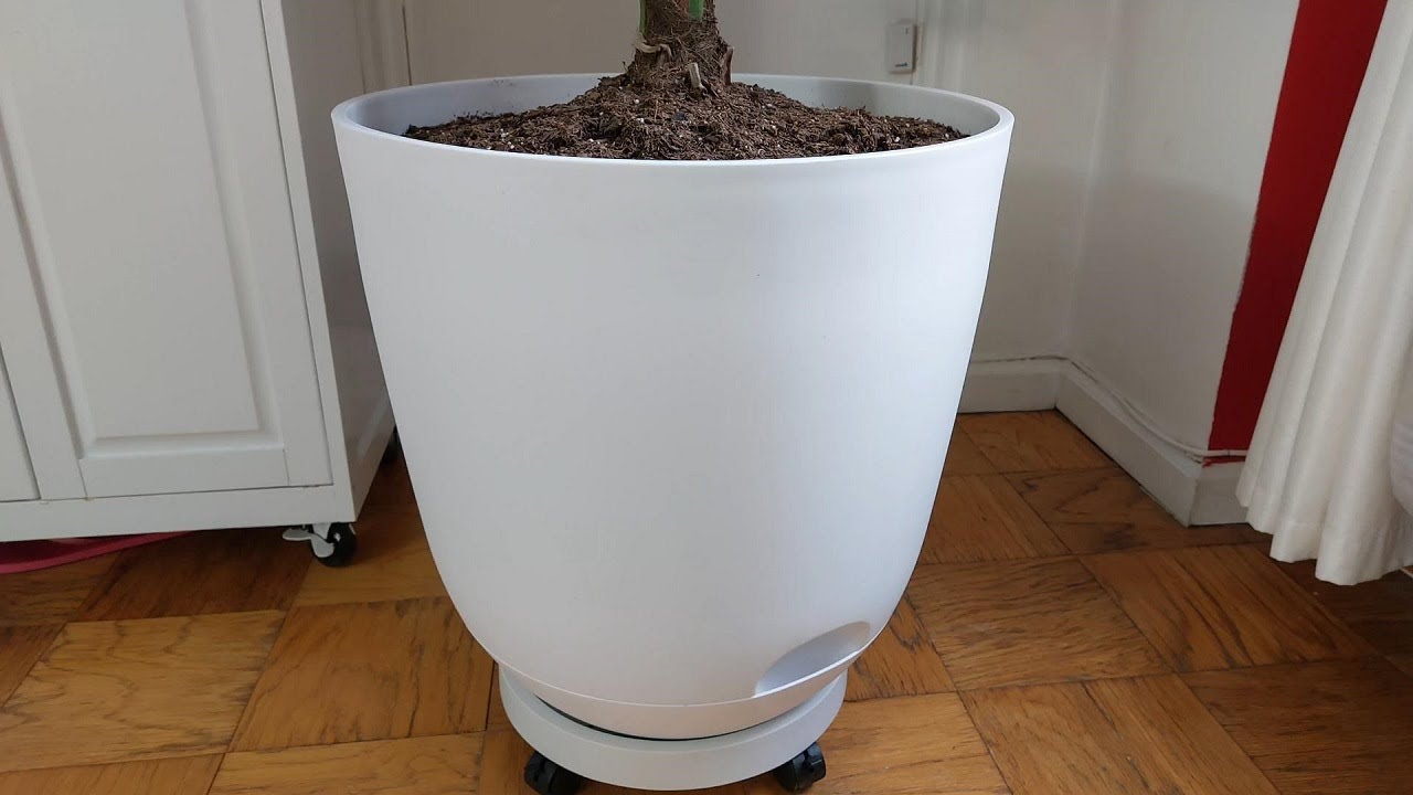 I Found a 20 Inch Planter For $30!! White, Indoor/Outdoor, Self Watering Plant Pot, Looks Expensive!
