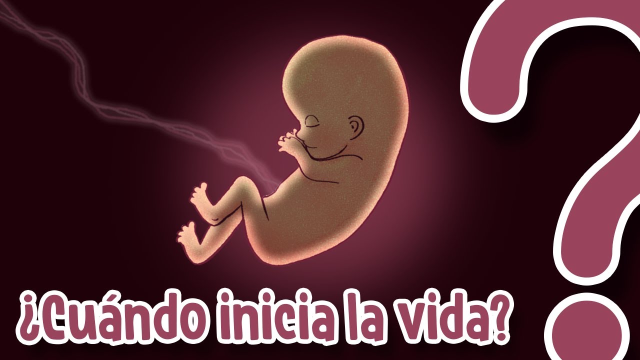 ¿Cuándo inicia la vida de un ser humano?