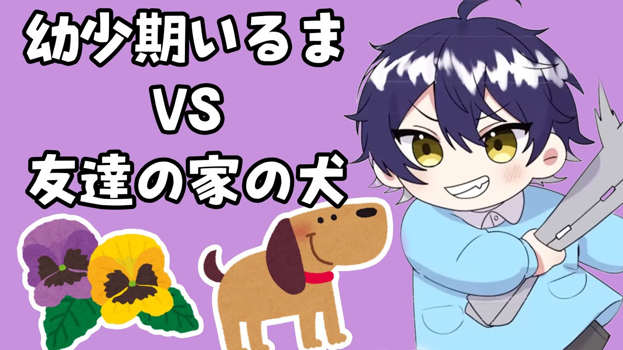 【シクフォニ切り抜き】いるま少年は犬が怖かった!? #シクフォニ #シクフォニ切り抜き