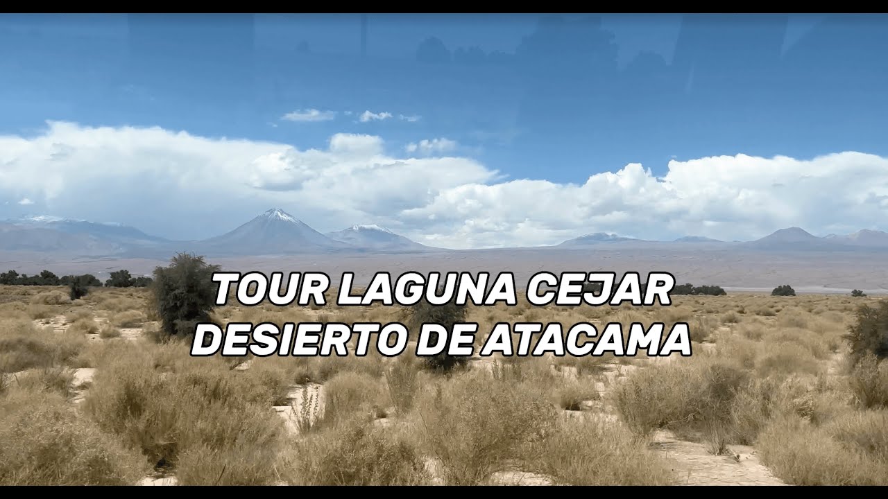 LAGUNA CEJA - DESIERTO DE ATACAMA (TOUR COMPLETO)