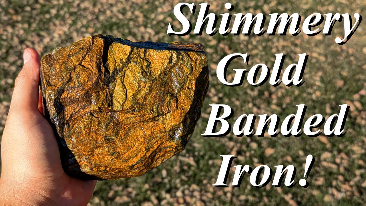 Birthday Bachelor Party Banded Iron! Hunting for Beautiful Gold Chatoyant Wyoming Banded Iron!