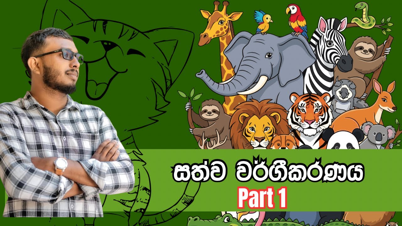 සත්ව වර්ගීකරණය 