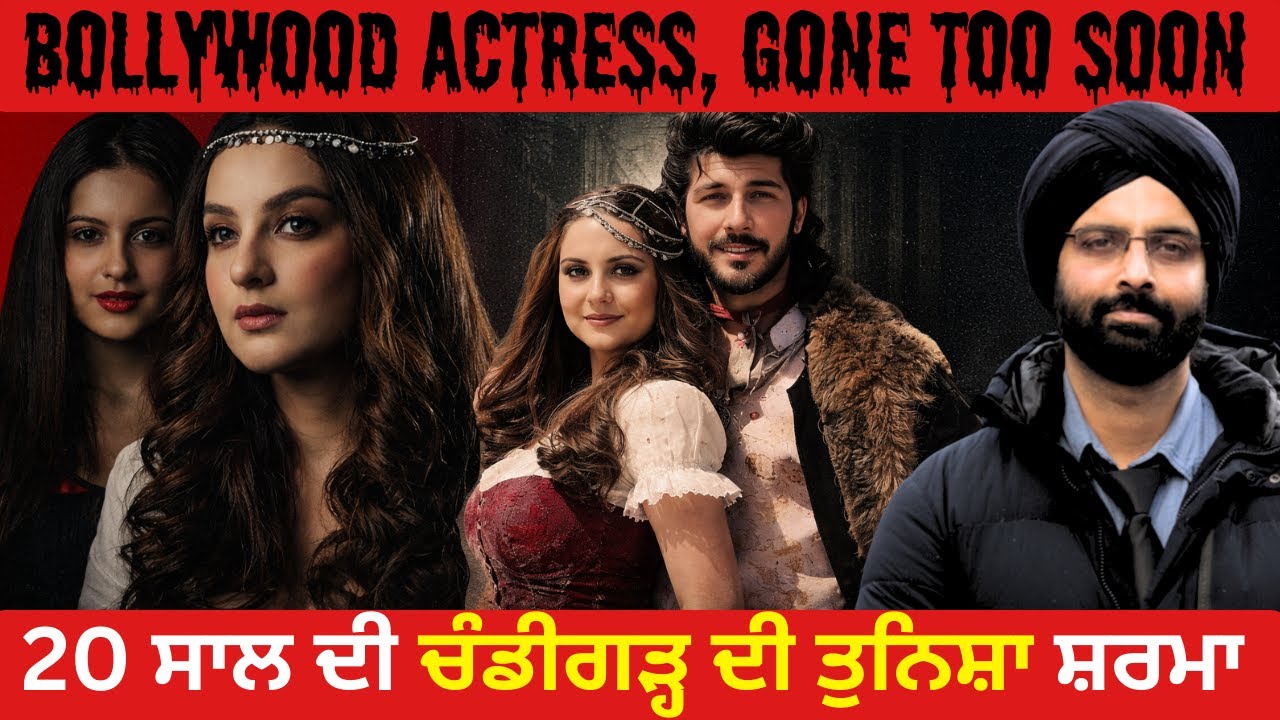 20 ਸਾਲ ਦੀ ਚੰਡੀਗੜ੍ਹ ਦੀ ਤੁਨਿਸ਼ਾ ਸ਼ਰਮਾ #Tunisha Sharma#Ali Baba Dastaan e Kabul