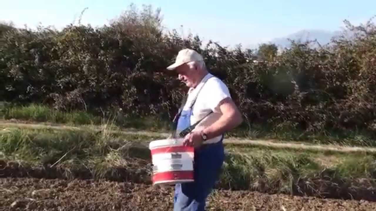 Σπορά Σιταριού απο τον Νάκο Ναπολέων!!!
