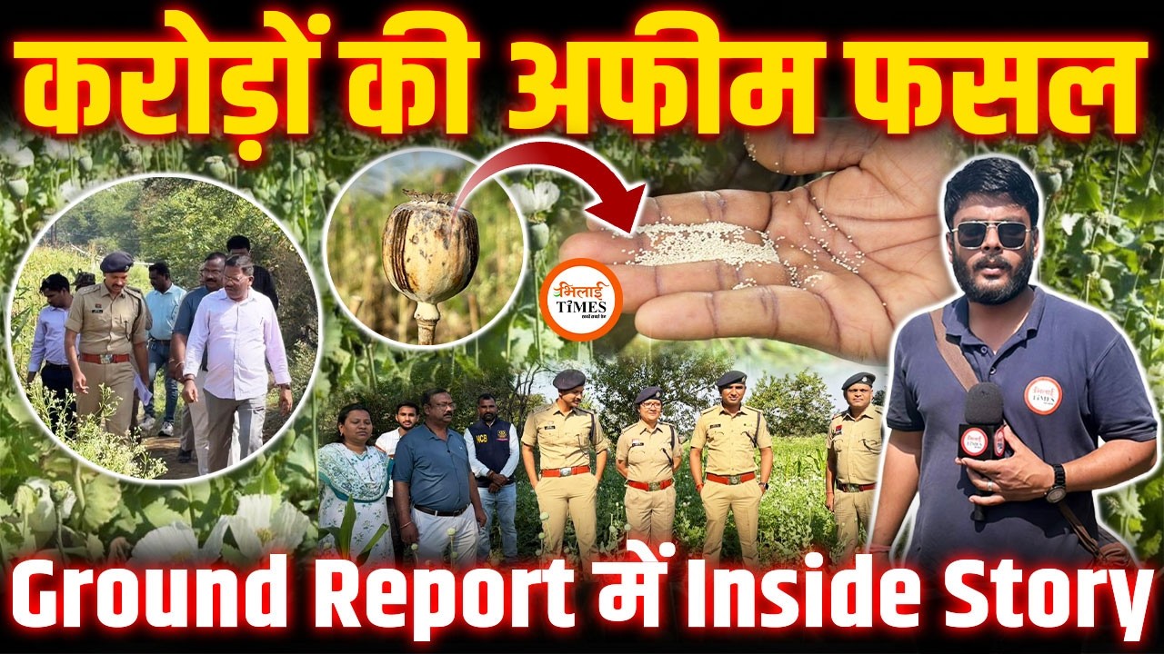 Ground Report | अफीम के खेत में करोड़ों की फसल| कब से चल रहा था | कहां सप्लाई | सबकुछ इस Report में