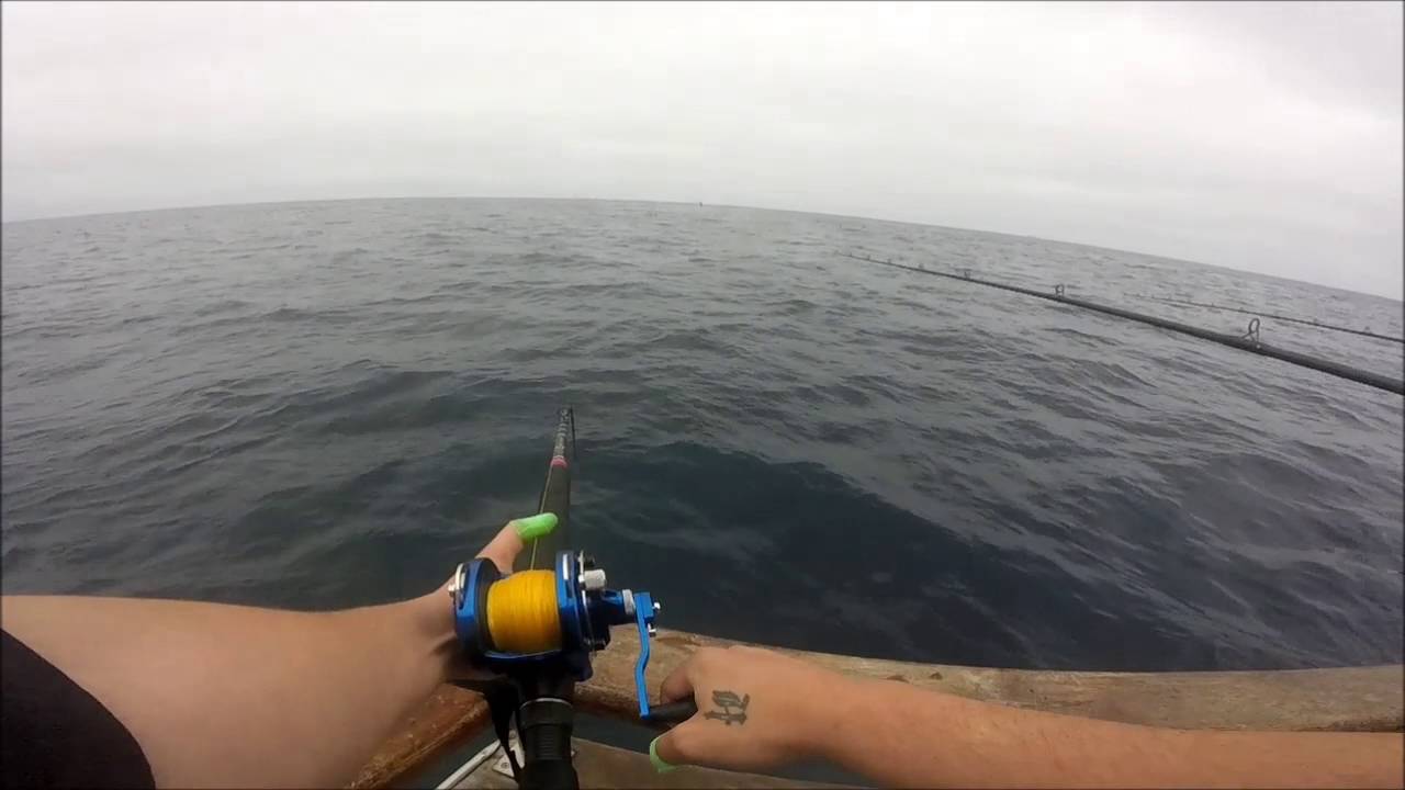 Southern California tuna fishing