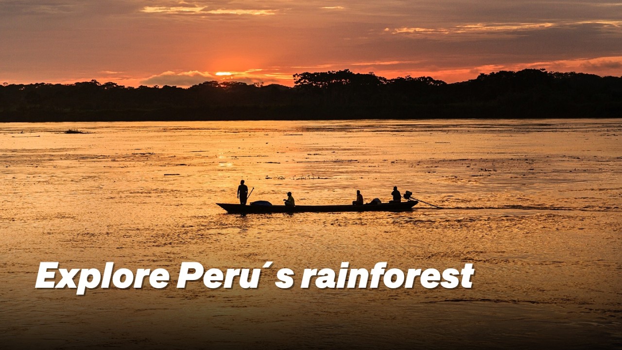 Explore Peru´s rainforest