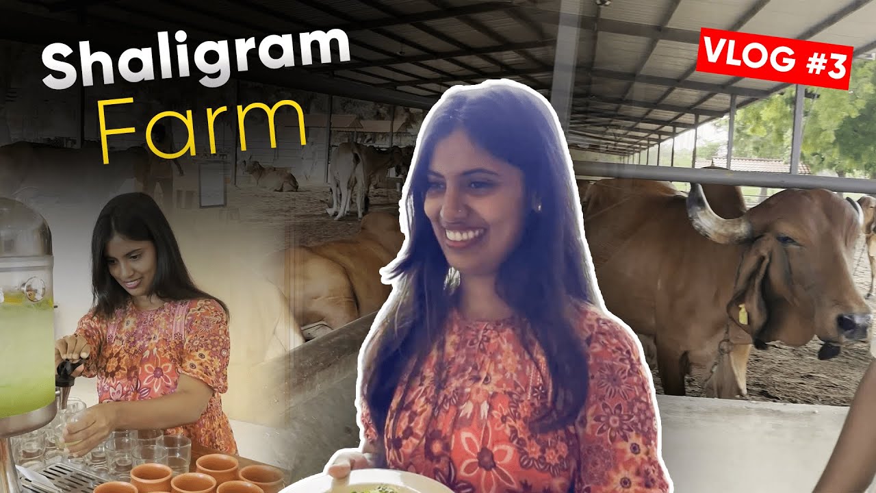 Hidden Gem Near Ahmedabad! Vlog #3
