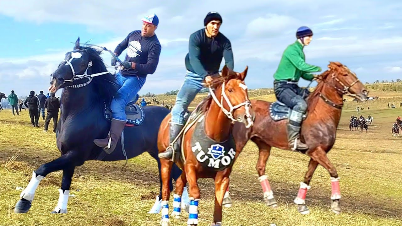 TOSHKENT OHANGARONDAGI ULOQ KO'PKARI.ISMOILXOJI BOBO O'TKIRXOJI AKA OQYOL FAN CLUB ULOQ KO'PKARSI.