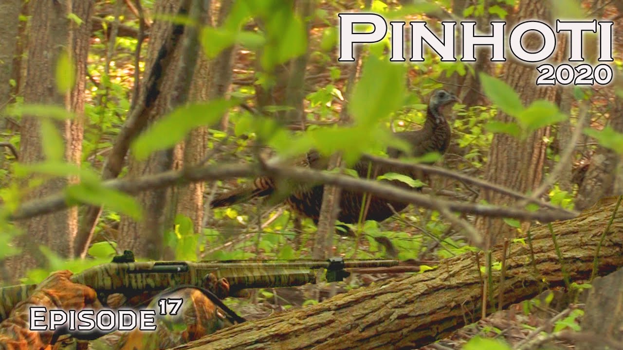 MOUTHY MOUNTAIN HEN | the MID APRIL STRUGGLES | the POWER of REAL HEN TALK- Pinhoti 2020