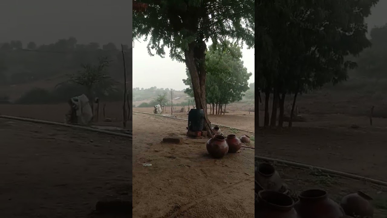 Rain middle of the desert my farm house @farmya #satisfying #videos #farming