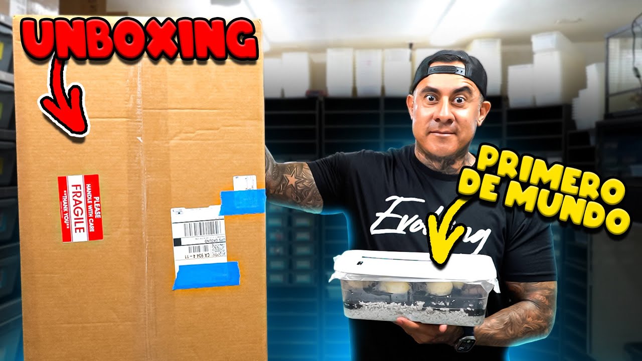 Grande Unboxing y Nació Una Primera De Mundo Serpiente 