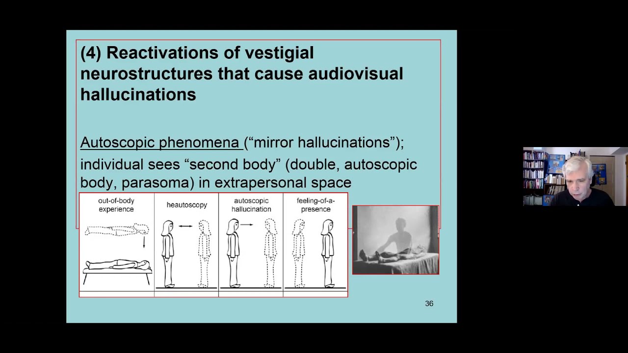 Adaptive Role of Mental Imagery & Hallucinations: Julian Jaynes ideas: Dr Brian McVeigh
