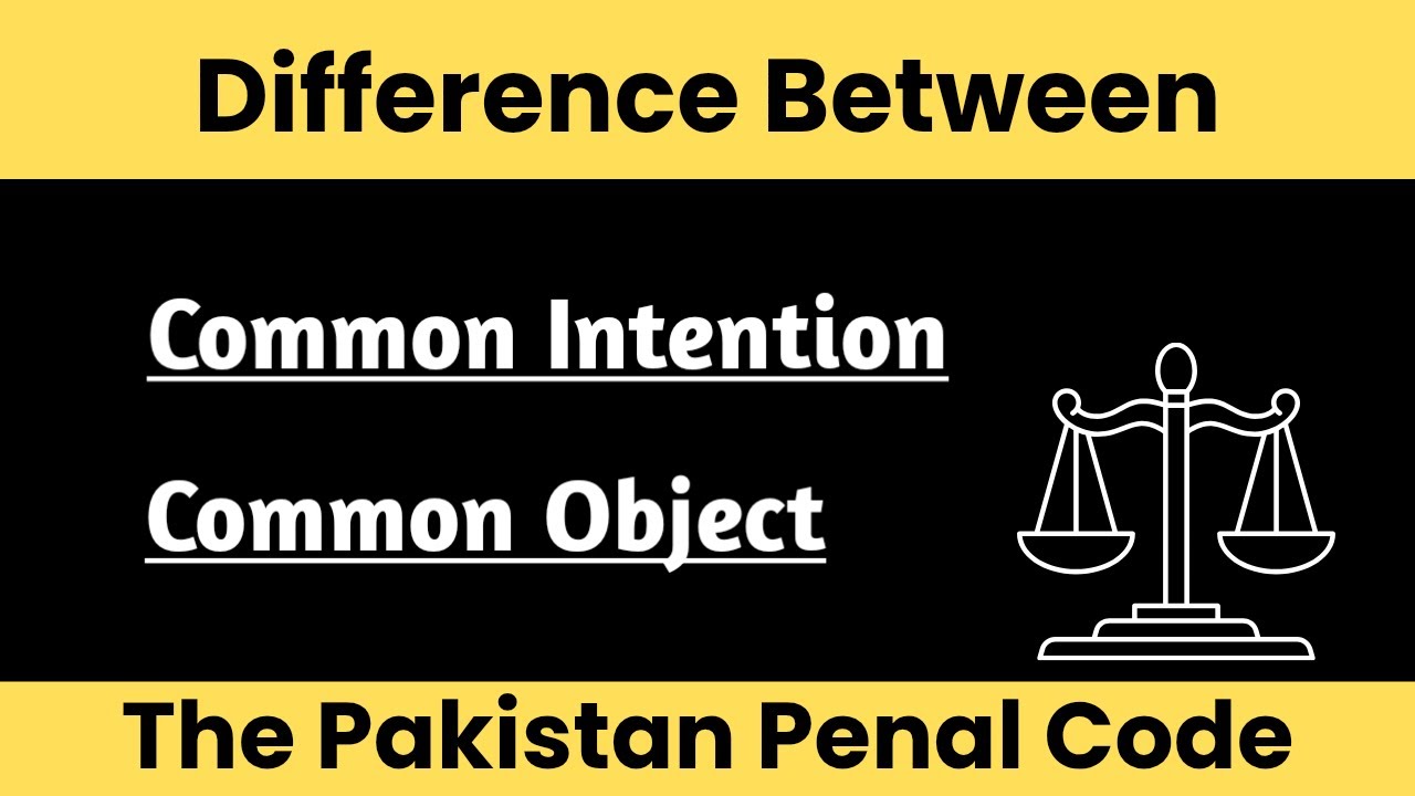 difference between common intention and common object|unlawful assembly ppc