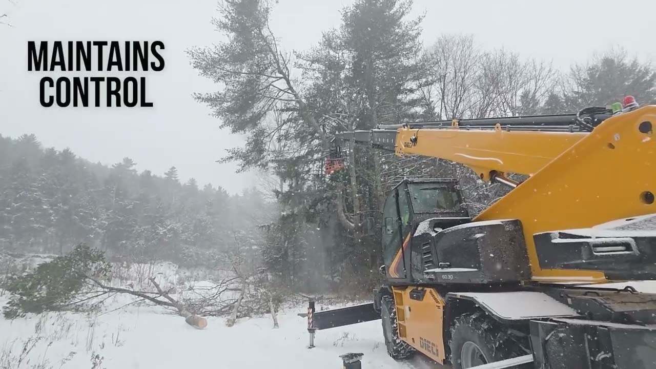 Thomson Tree Service: Introducing Dieci with WoodCracker