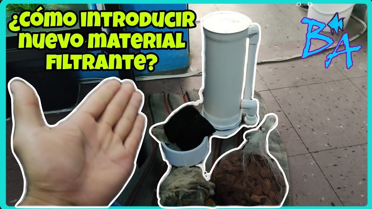C&oacute;mo introducir m&aacute;s material filtrante en mi acuario