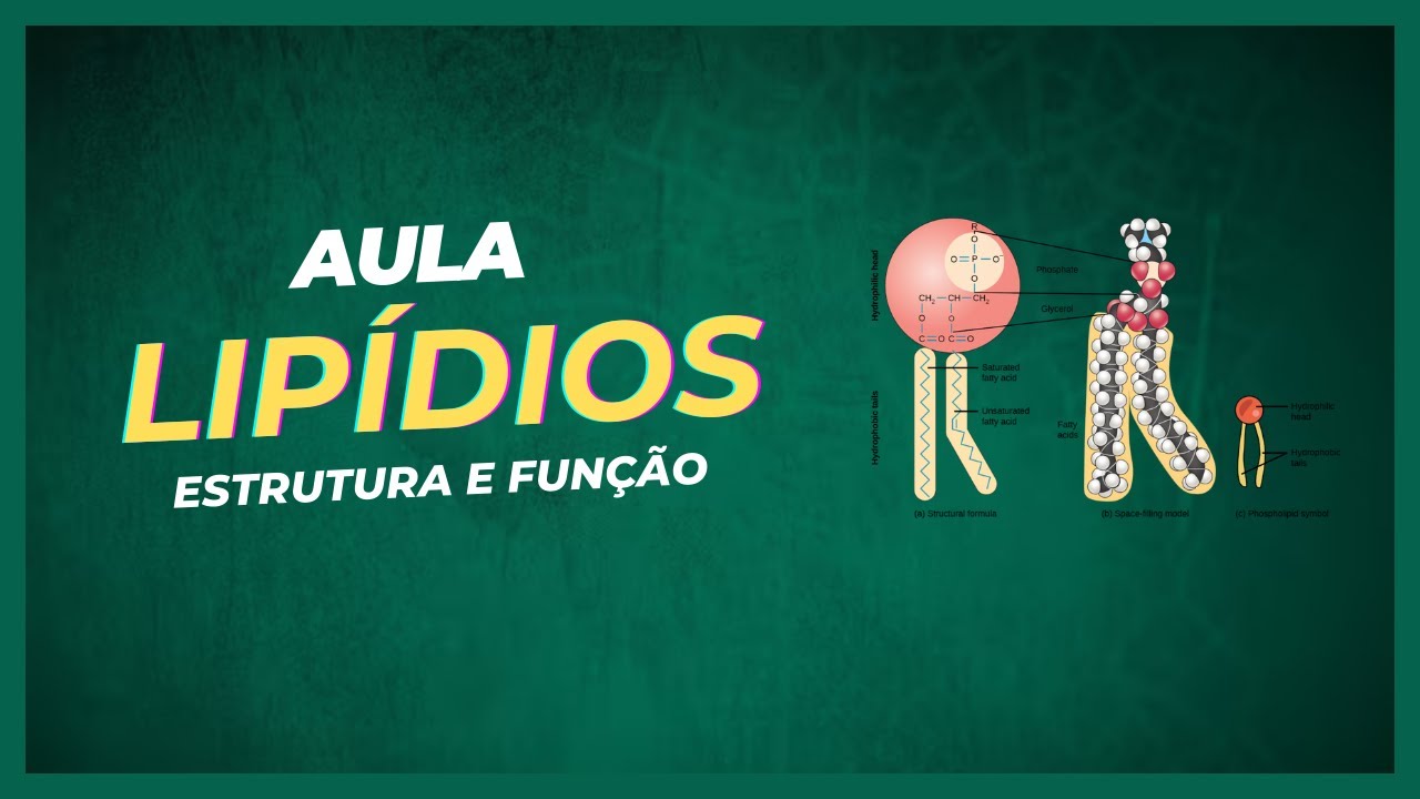 Bioquímica - #05 - Estruturas e Funções dos Lipídios