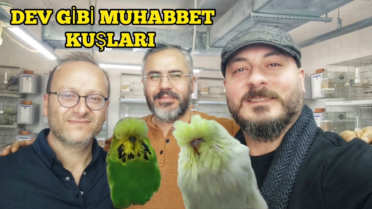 Show Jumbo Cennetine Düştük l Üretimhane Ziyareti l İstanbul l Yuvalık Açılışı l Vlog
