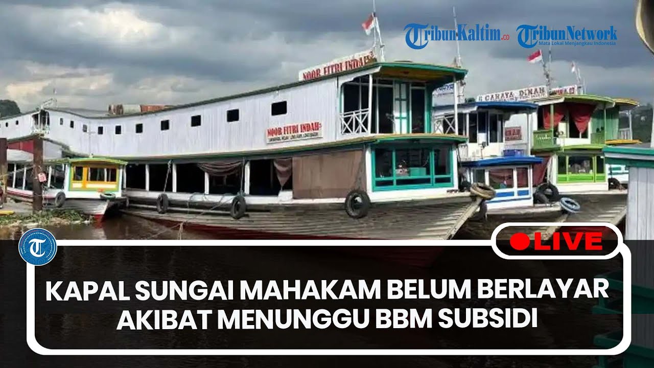 🔴LIVE: Kapal Sungai Mahakam Belum Berlayar Akibat Menunggu BBM Subsidi