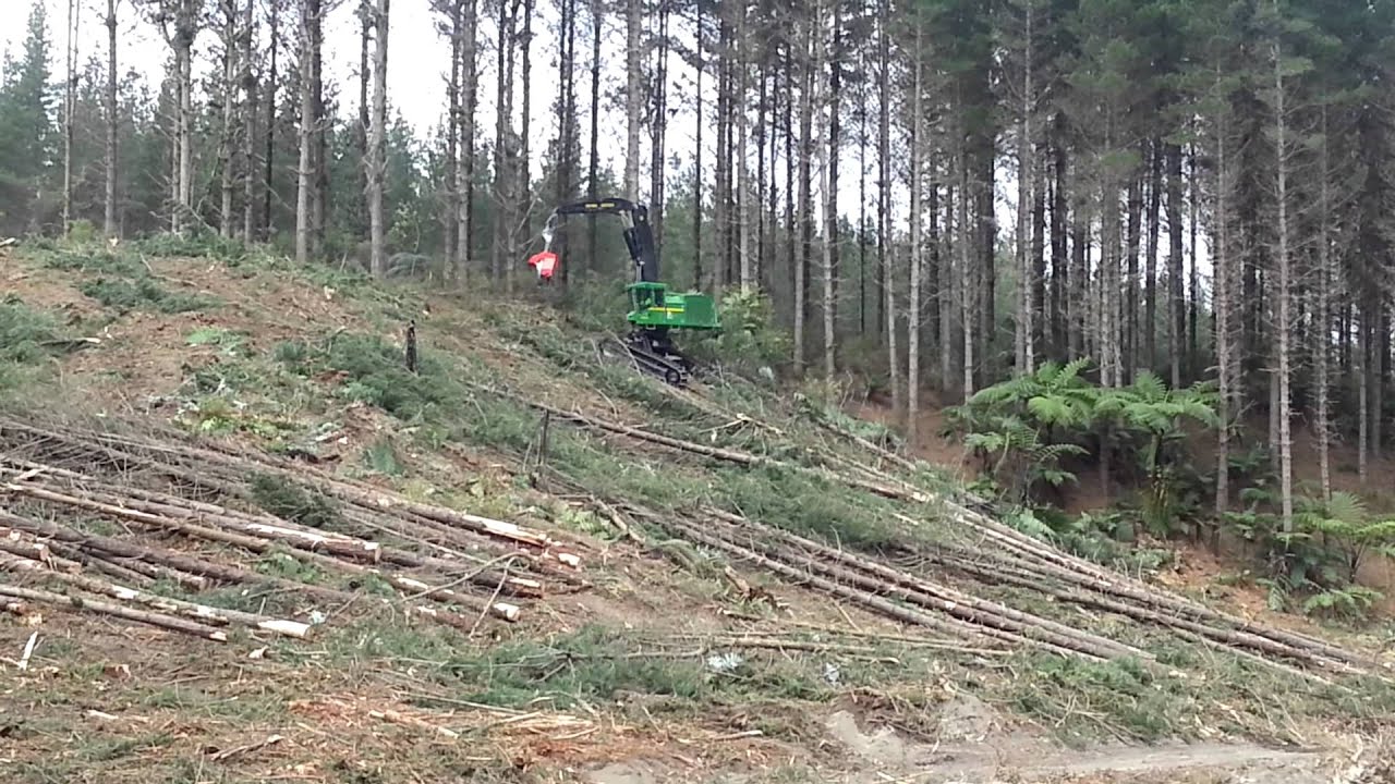 Woodsman Pro Felling Head In Action