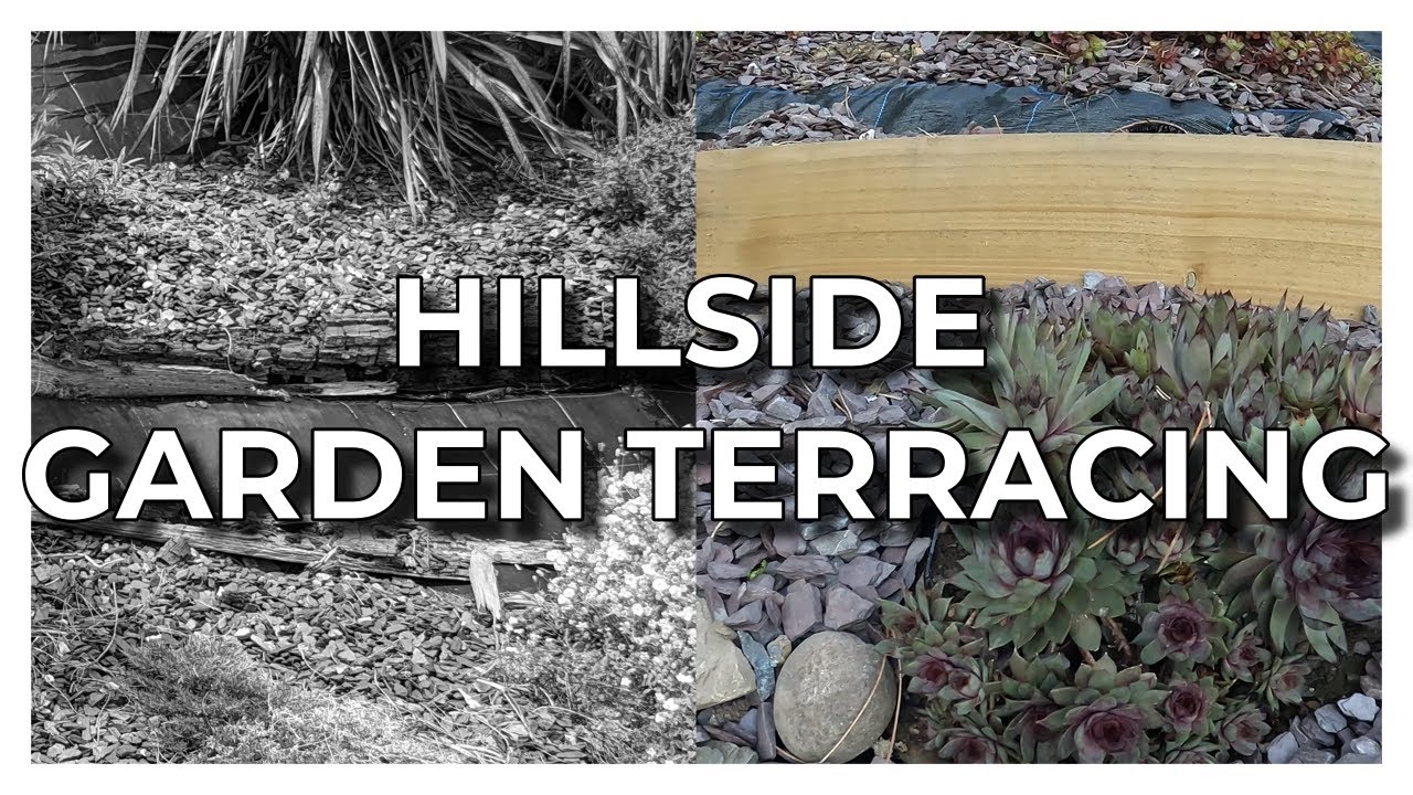 From hillside to haven: conquering the slope to build a stunning terraced garden